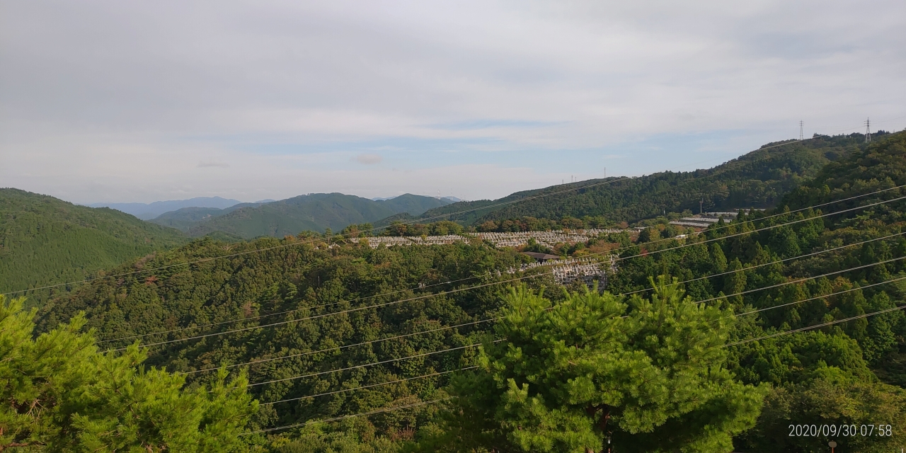 8区4番枝道駐車場から園内風景