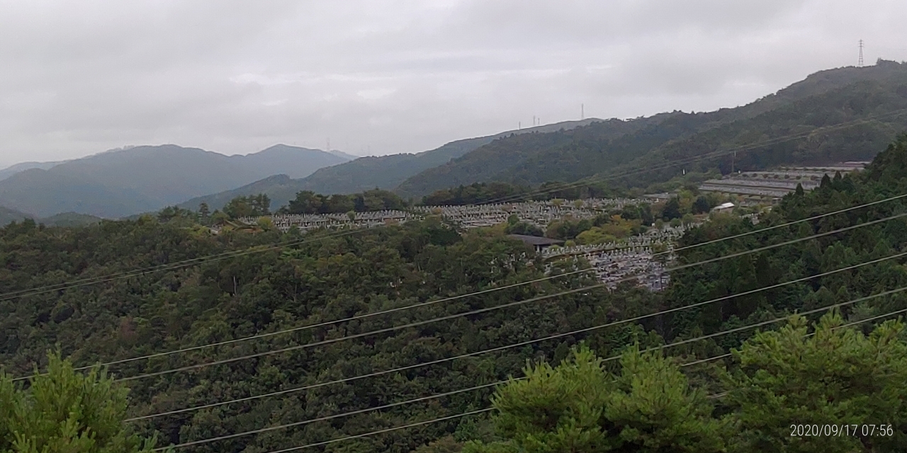 8区4番枝道駐車場から園内風景