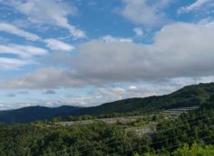 階段墓所から園内（北）風景