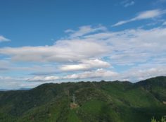 階段墓所から園内（西）風景