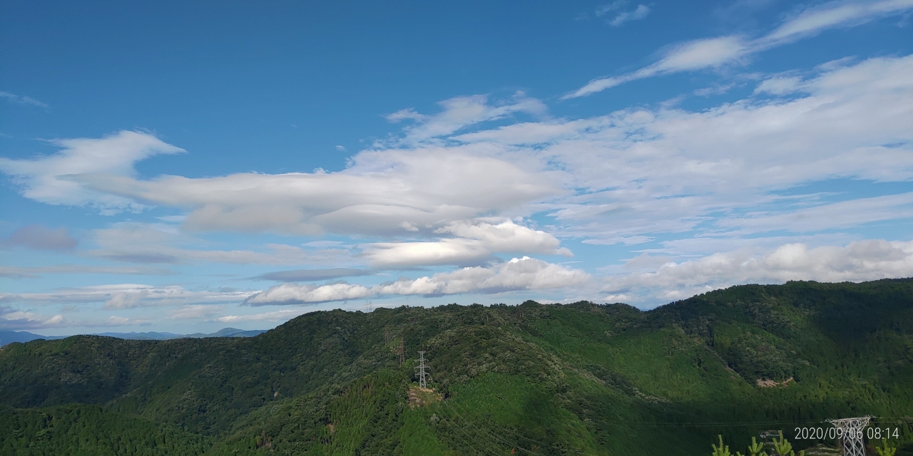 階段墓所から園内（西）風景