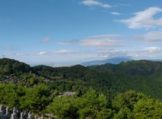 階段墓所から園内（南西）風景