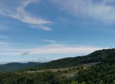 8区4番枝道駐車場から園内風景