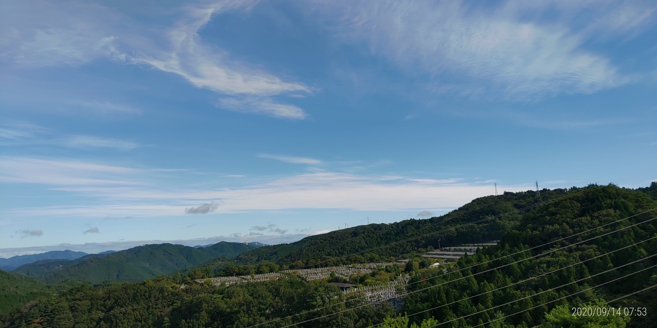 8区4番枝道駐車場から園内風景