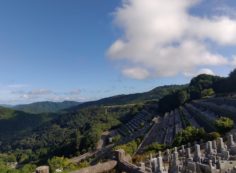 7区3番上段駐車場から階段墓域風景