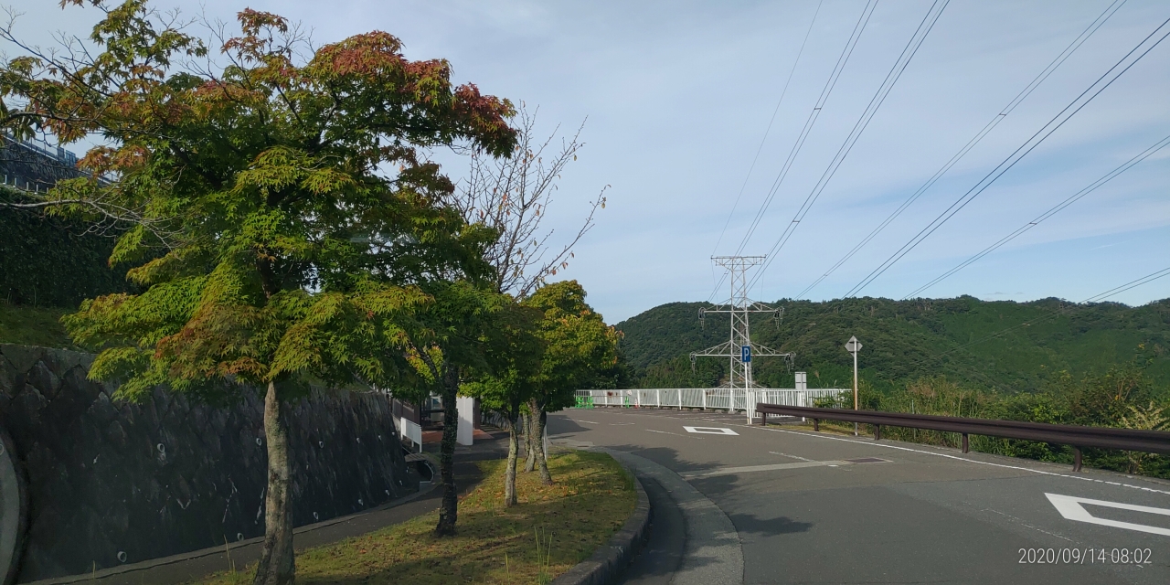 バス通り・8区バス停手前（紅葉）