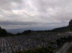 11区1番墓所から園内（南）風景