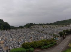 11区1番墓所から園内（南）風景