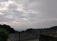 11区1番墓所から園内（南）風景