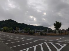 11区7番墓所から園内（東）風景