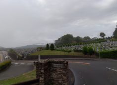 霊園北入口から園内風景