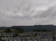 11区7番墓所から園内（西）風景