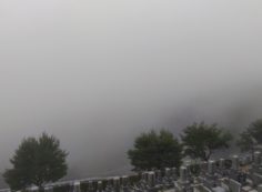 階段墓域・8区4/5番墓所枝道~北風景