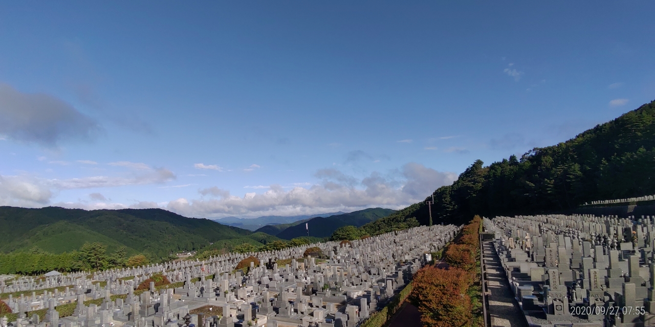 11区7番墓所から園内（北）風景