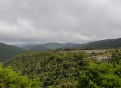 8区4番枝道駐車場から園内風景