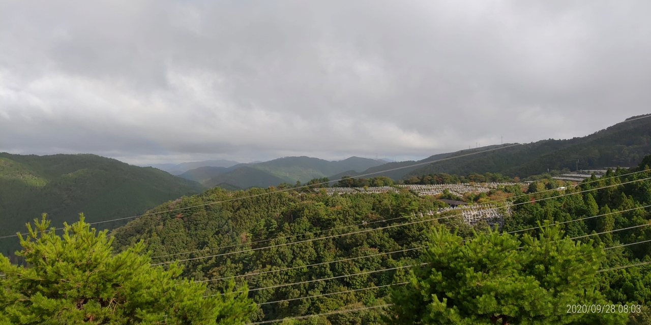 8区4番枝道駐車場から園内風景