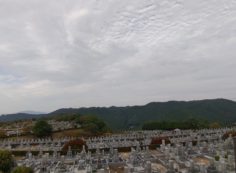 11区7番墓所から園内（西）風景