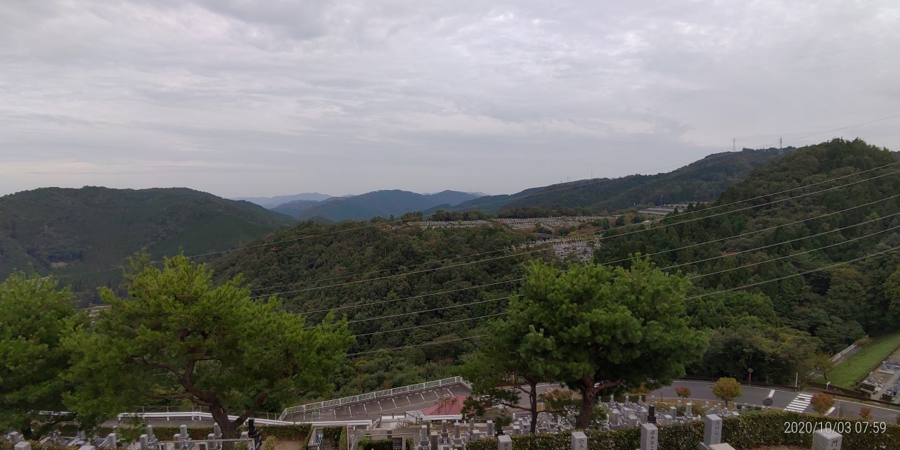 8区4番枝道駐車場から園内風景