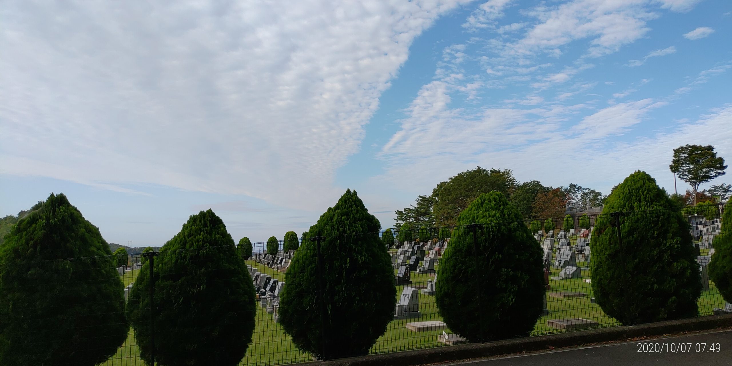 11区2番芝生墓所から園内（南西）風景