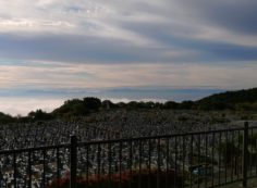 11区1番墓所から園内（南）雲海　風景