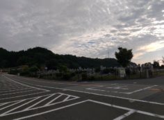 11区7番墓所から園内（東）風景