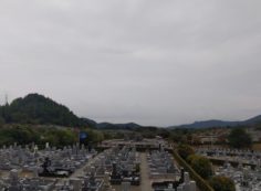 11区7番墓所から園内（南西）風景