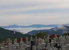 11区7番墓所から園内（北）風景