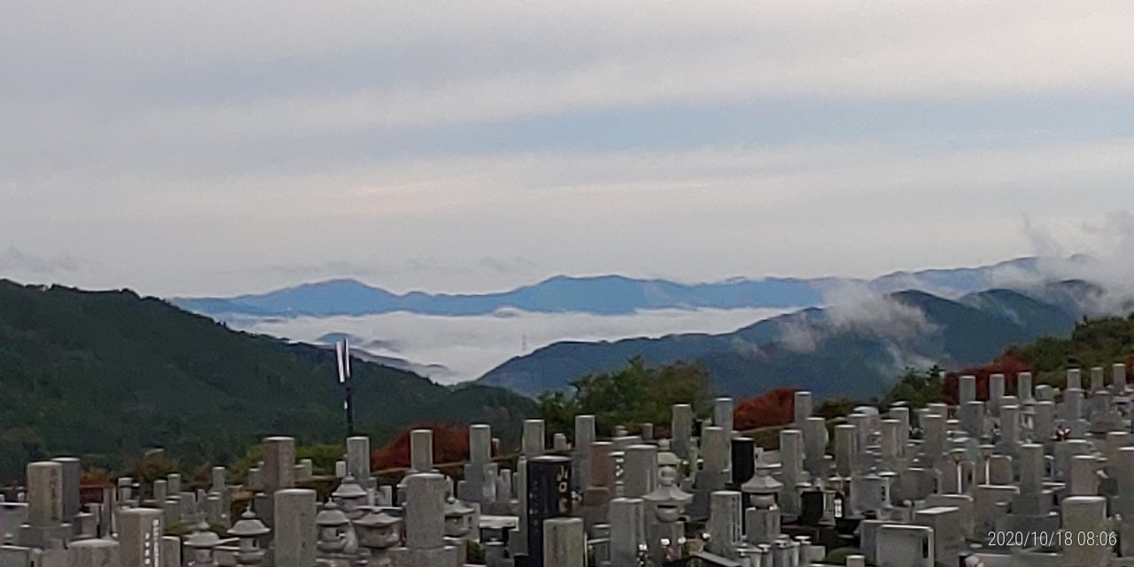 11区7番墓所から園内（北）風景