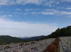 11区7番墓所から園内（北）風景