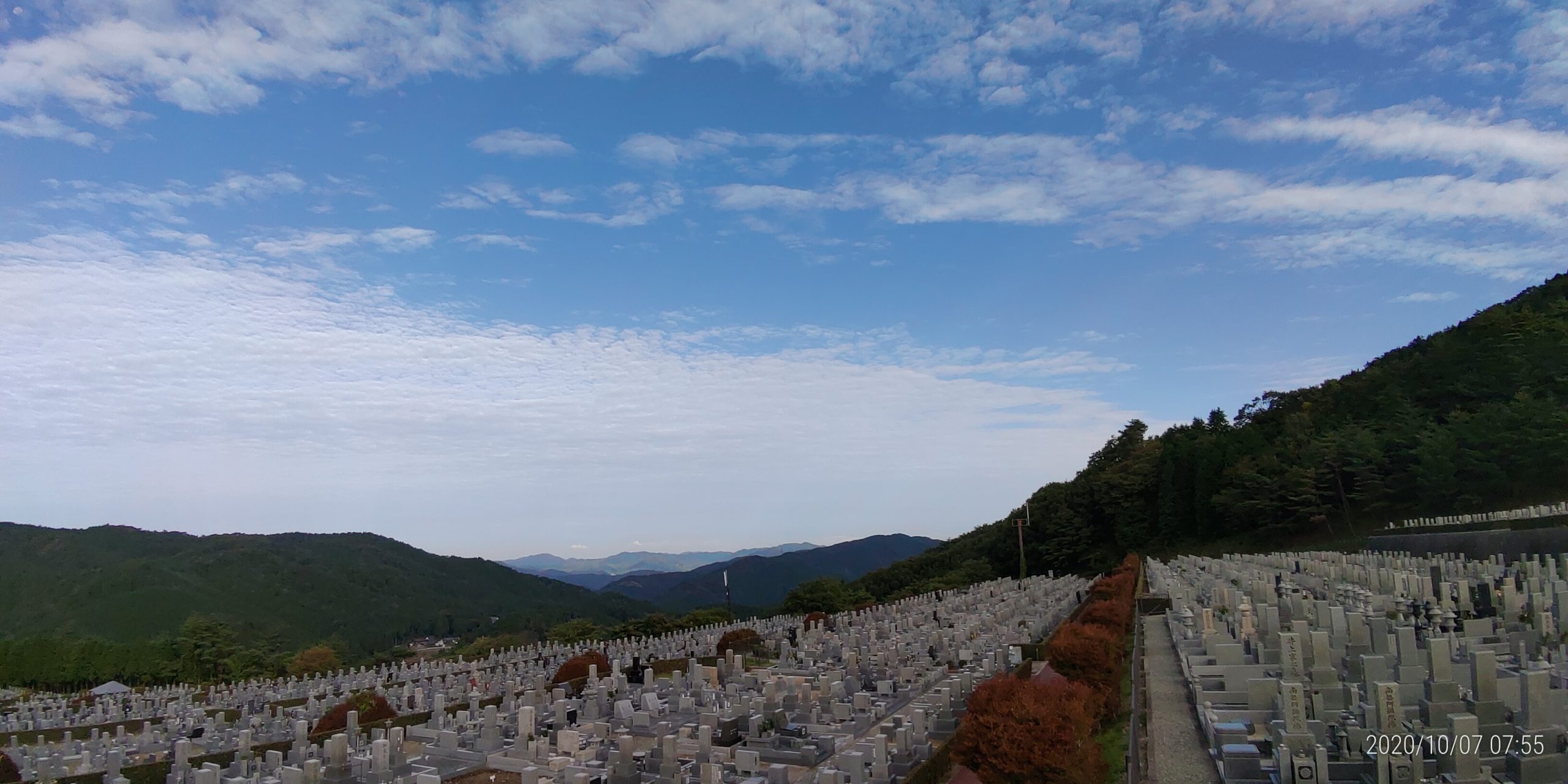 11区7番墓所から園内（北）風景