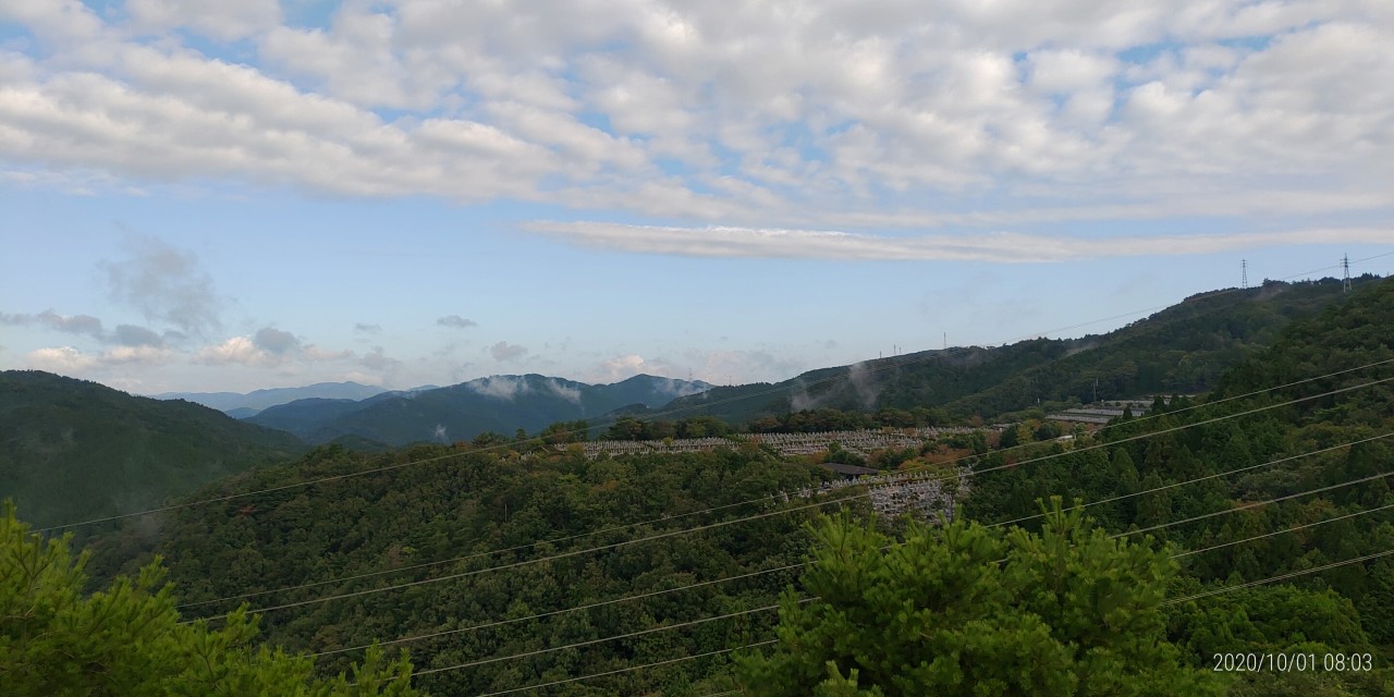 8区4番枝道駐車場から園内風景