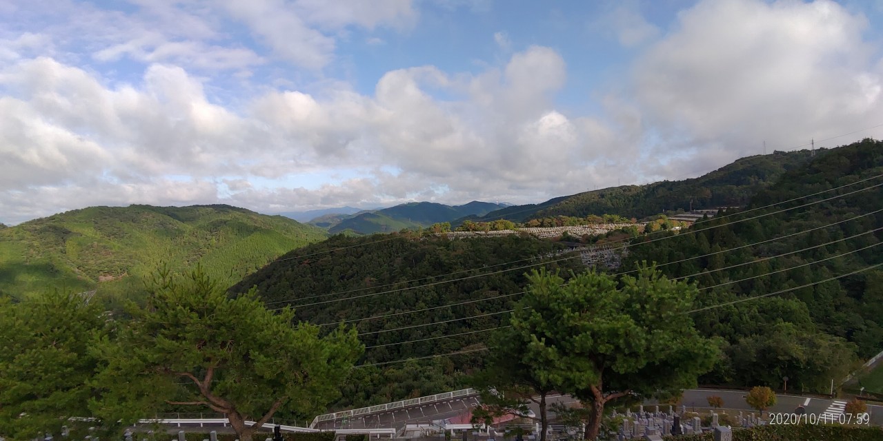 8区4番枝道駐車場から園内風景