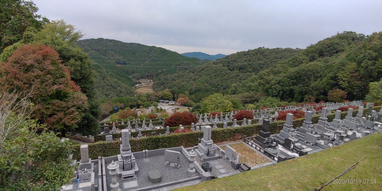 バス通り・5区墓域風景