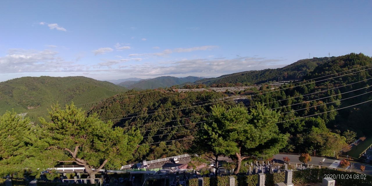 8区4番枝道駐車場から園内風景