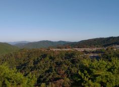 8区4番枝道駐車場から園内風景