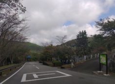 バス通り・5区1番墓所風景