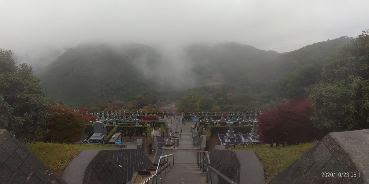 7区バス停前・5区3番からの風景