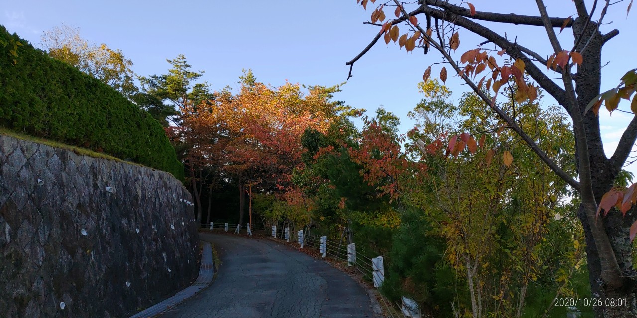 7区1/2番墓所枝道風景③