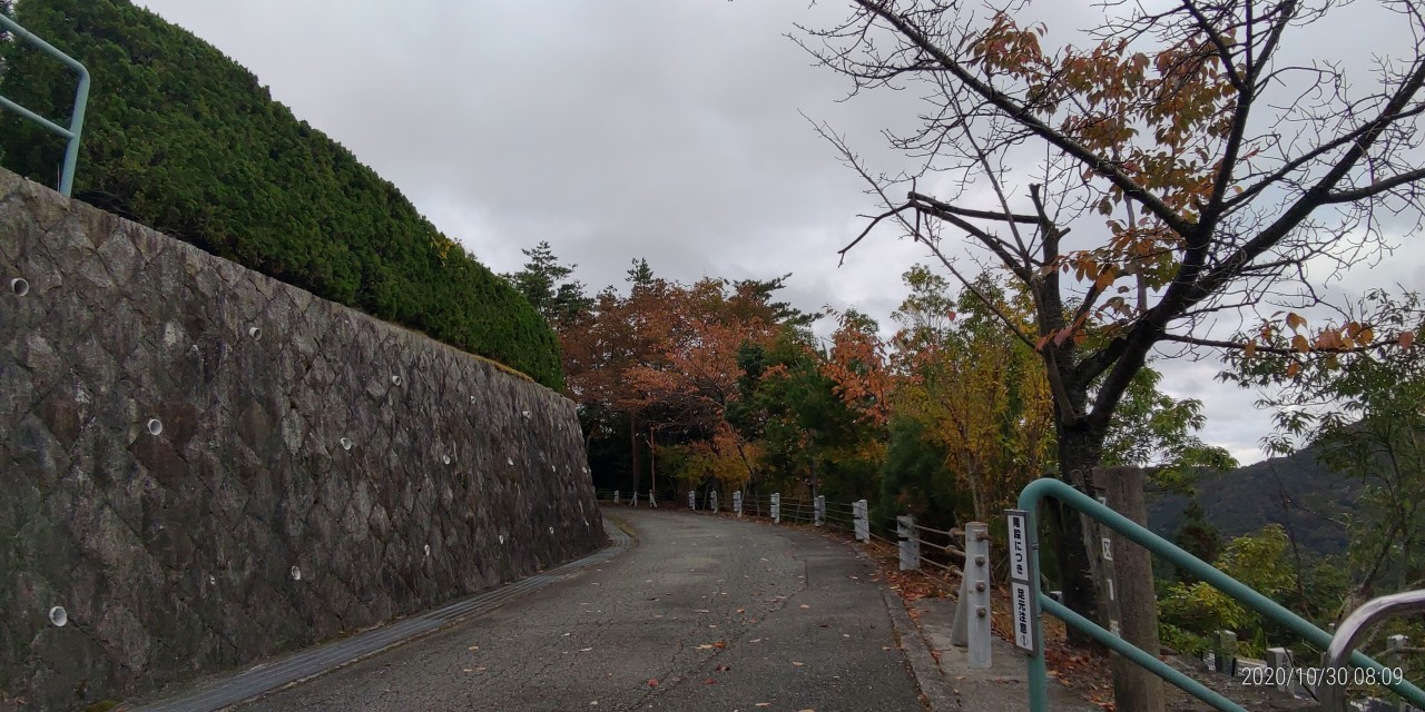 7区1/2番墓所枝道からの風景