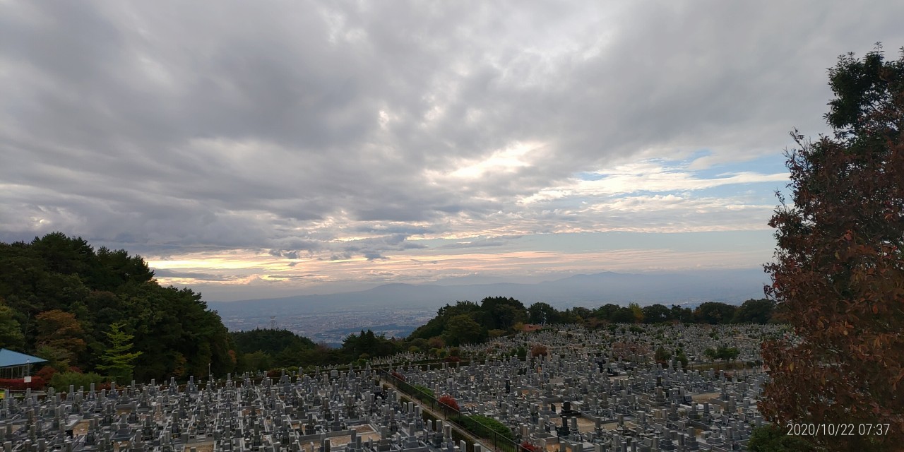 11区1番墓所から園内（南）風景