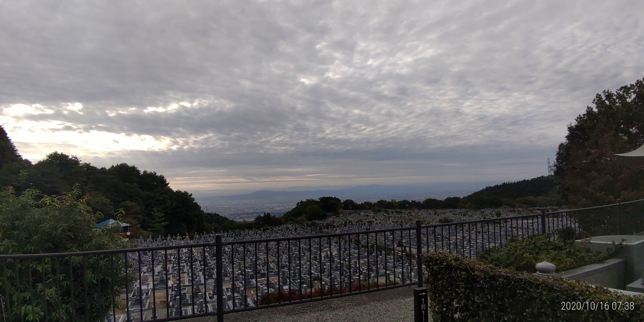 11区1番墓所から園内（南）風景