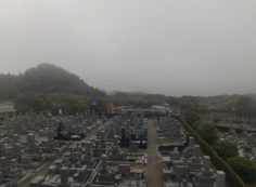 11区7番墓所から園内（南西）風景