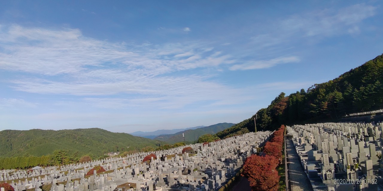 11区7番墓所から園内（北）風景