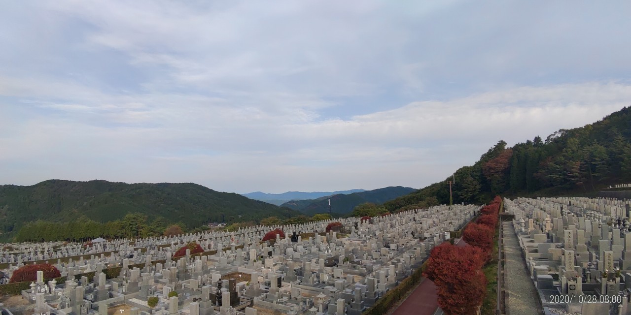 11区7番墓所から園内（北）風景