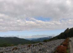 11区7番墓所から園内（北）風景