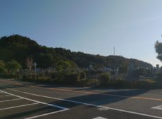 11区7番墓所から園内（東）風景