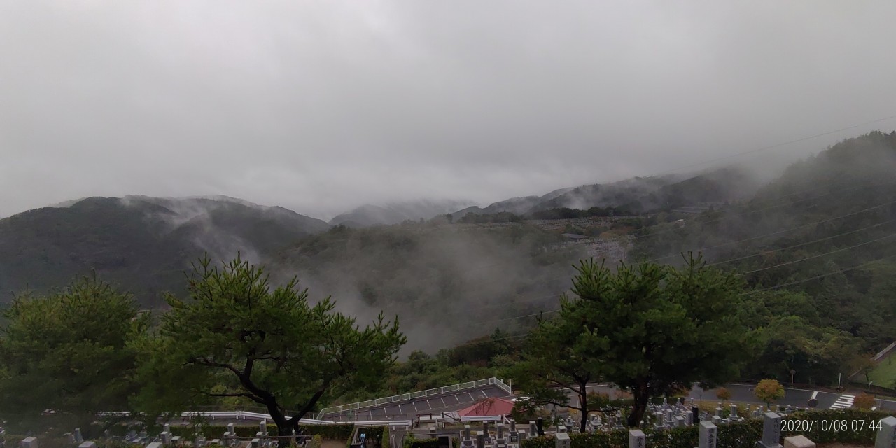 8区4番枝道駐車場から園内風景