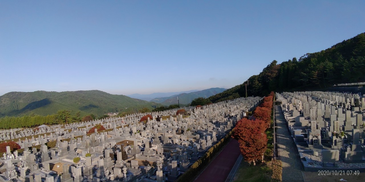 11区7番墓所から園内（北）風景