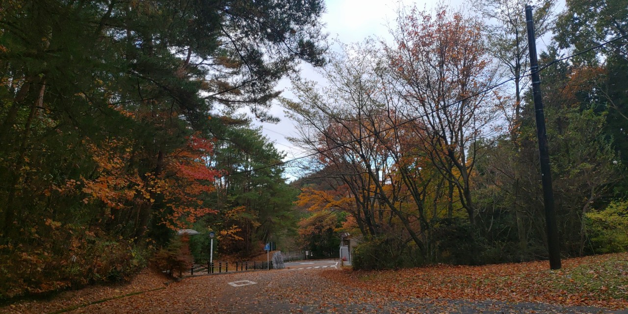 バス通り・八天の森バス停風景