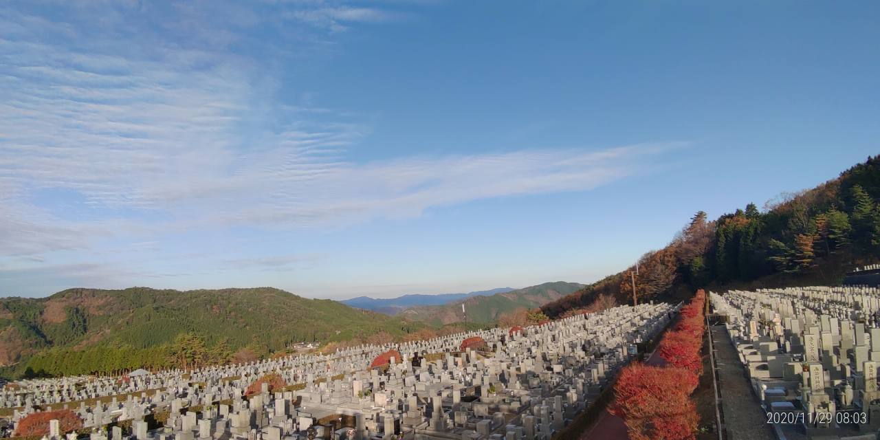 11区7番墓所から園内（北）風景